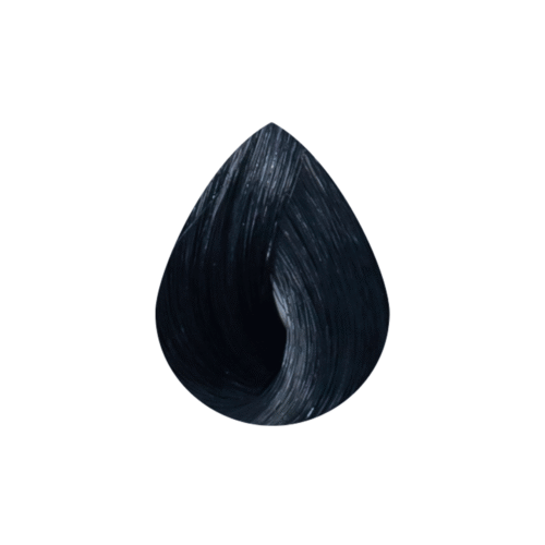 Tinte sin amoniaco Vision Touch negros (1.) 1.0 negro natural