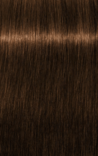 TINTE ROYAL ABSOLUTES 6-50 RUBIO OSCURO DORADO NATURAL IGORA