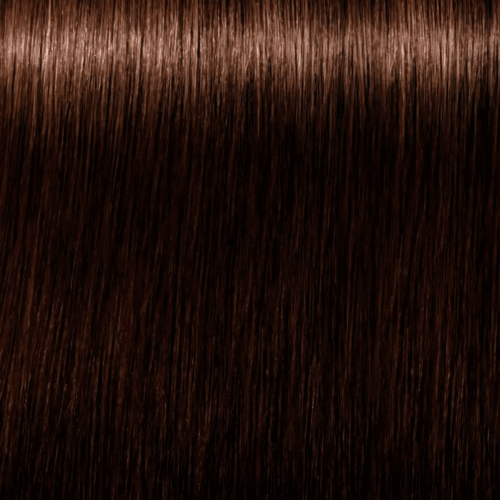 TINTE ROYAL ABSOLUTES 6-60 RUBIO OSCURO MARRON NATURAL IGORA