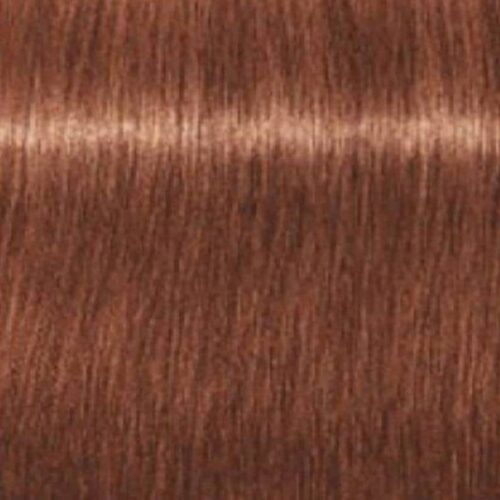 TINTE ROYAL ABSOLUTES 7-560 RUBIO MEDIO DORADO MARRON NATURAL IGORA