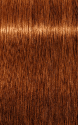 TINTE ROYAL ABSOLUTES 7-70 RUBIO MEDIO COBRE NATURAL IGORA