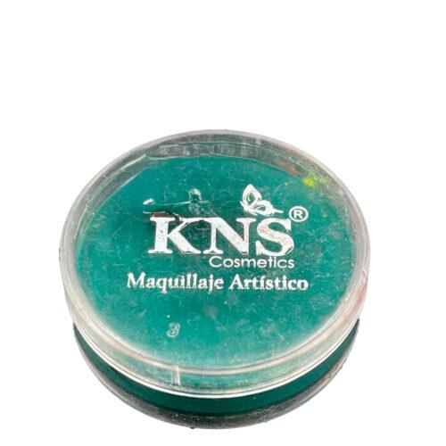 MAQUILLAJE ARTISTICO GRANDE CHAROLA