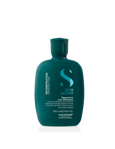 SHAMPOO REESTRUCTURANTE ALFAPARF SEMILLAS DE LINO 250 ML